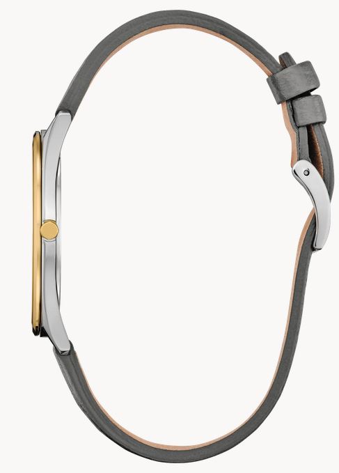 Montre Citizen Surrato