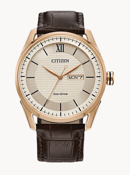 Citizen Garrison Watch