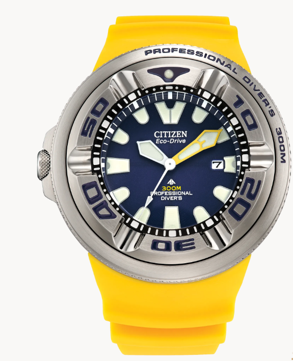 Montre Citizen Promaster