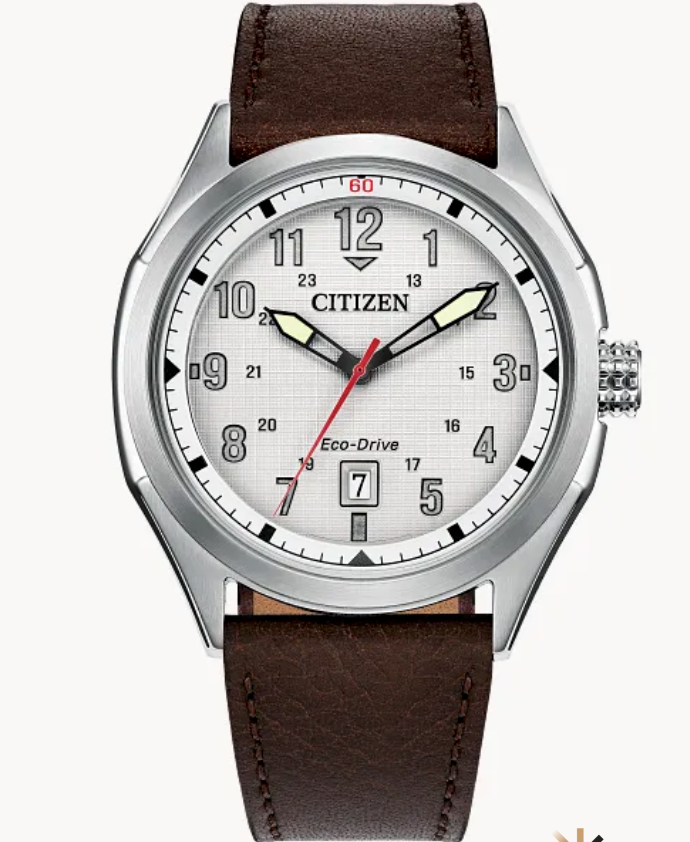 Montre Citizen Avion (Copie)