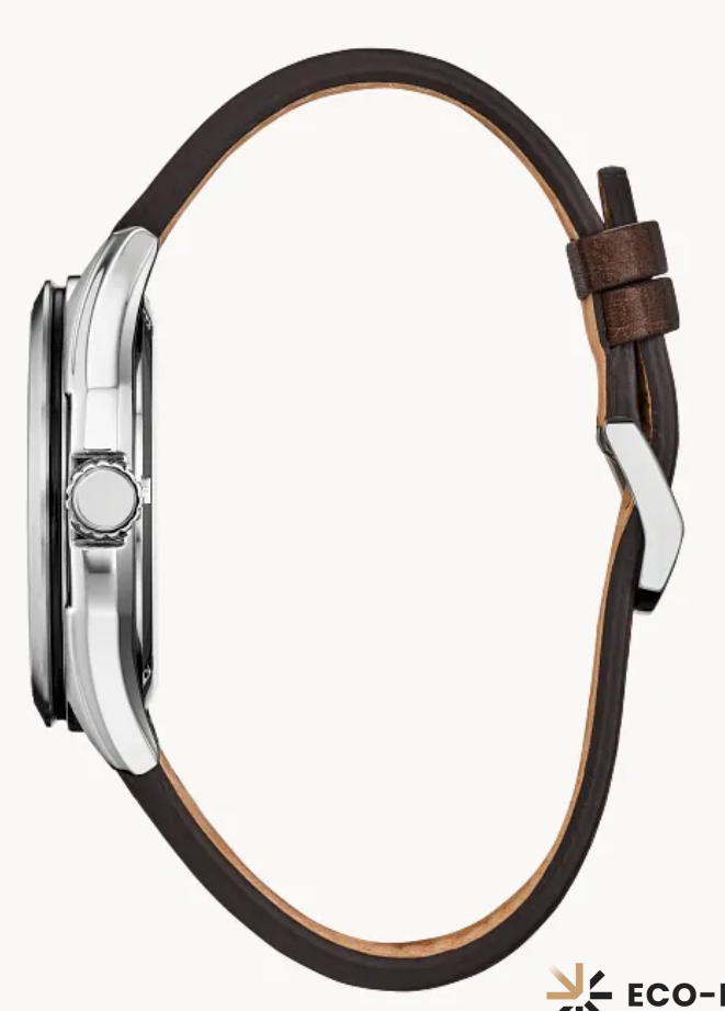 Montre Citizen Avion (Copie)