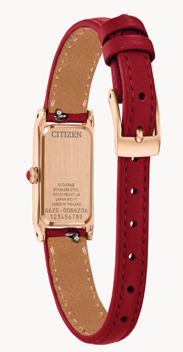 Montre Citizen FIO