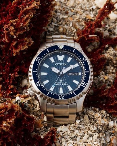 Montre Citizen Promaster Dive Automatique