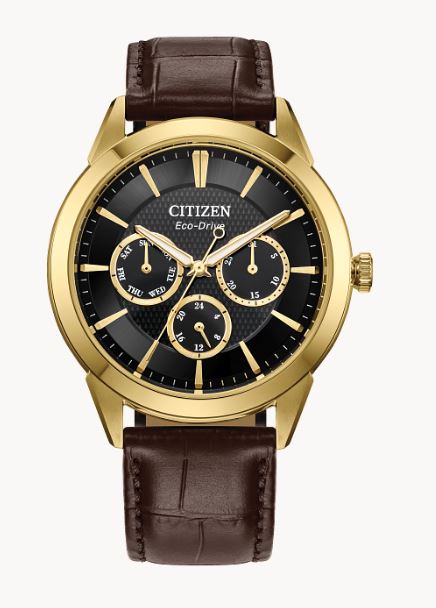 Montre Citizen Rolan