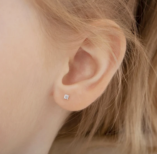 SILVER .925 LADYBUG earrings