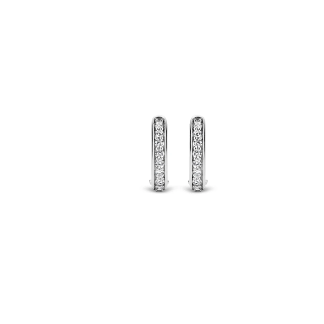 Boucles d'oreilles Ti Sento Milano Anneaux 7759ZI