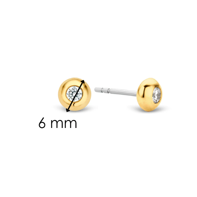 Boucles d'oreilles Ti Sento Milano 7760ZY